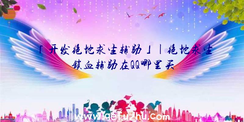「开发绝地求生辅助」|绝地求生锁血辅助在QQ哪里买